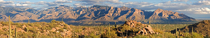 Landscape around Tucson